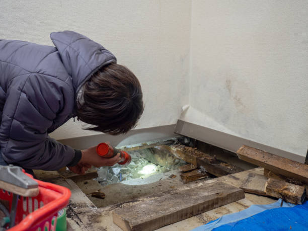Best Mold Remediation for Healthcare Facilities  in Wchester, IN
