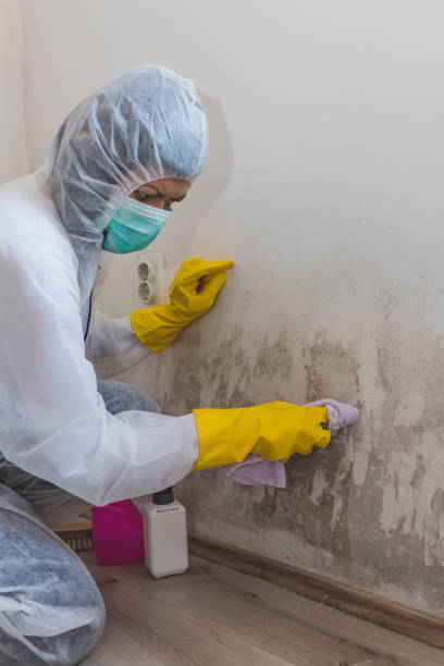 Best Commercial Mold Inspection  in Wchester, IN