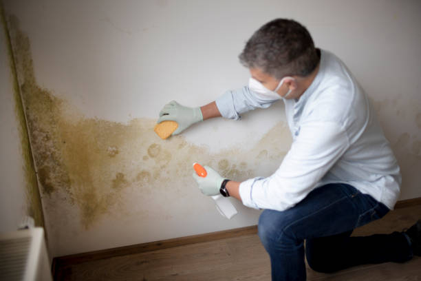 Dehumidification Services in Winchester, IN